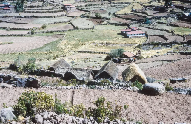 Corn fields on Taquile