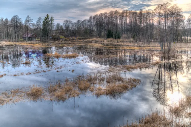 The lakes around the primeval forest of Białowieża