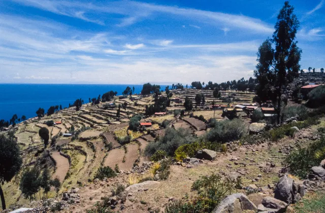 Corn fields on Taquile