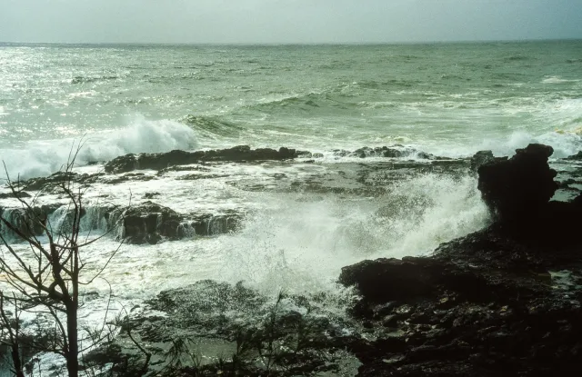 The Kauai coast