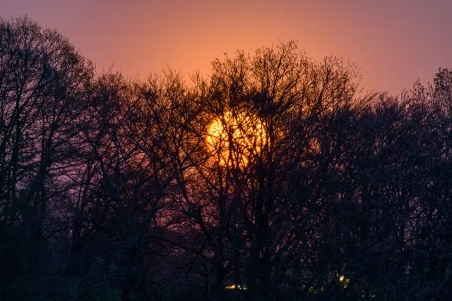 The super moon in April 2020