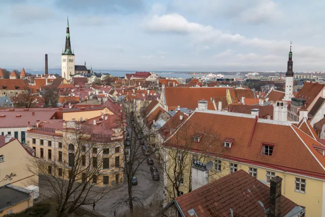 Blick auf die Altstadt von Tallinn