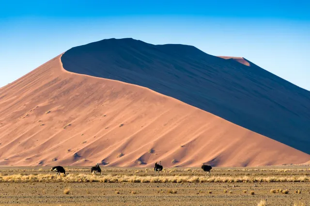 Die Dünenlandschaft rund um Düne 45 in der Namib