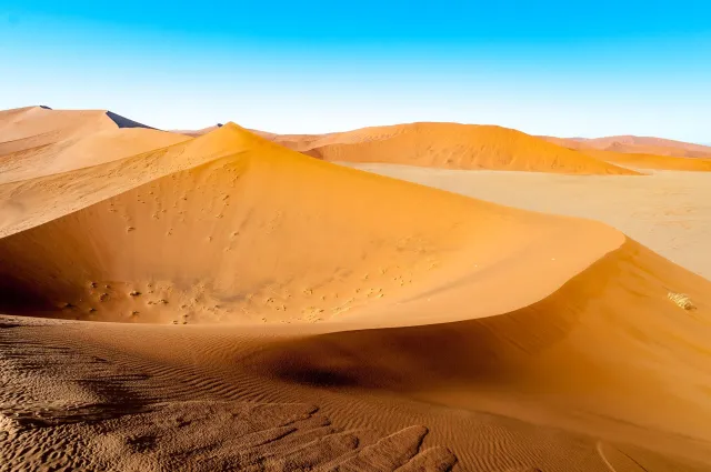 Die Dünenlandschaft rund um Düne 45 in der Namib