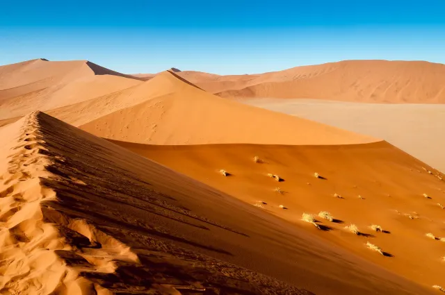 Die Dünenlandschaft rund um Düne 45 in der Namib