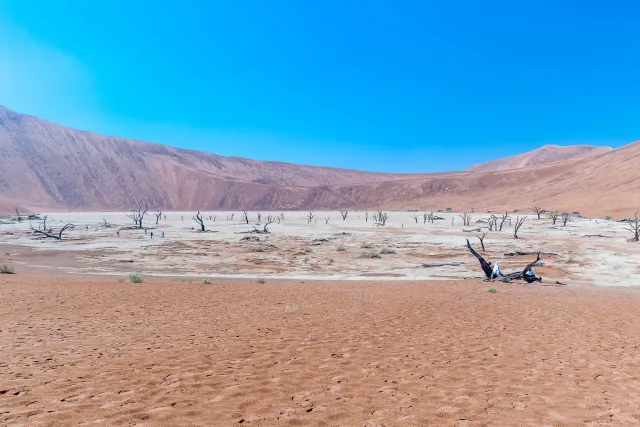 Das Deadvlei