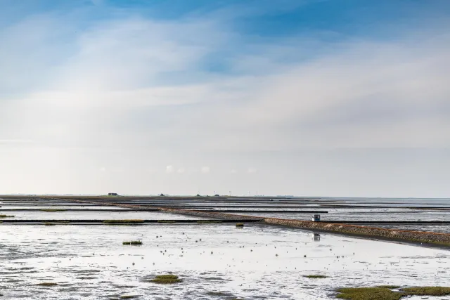  Der Lorendamm zur Hallig Nordstrandischmoor