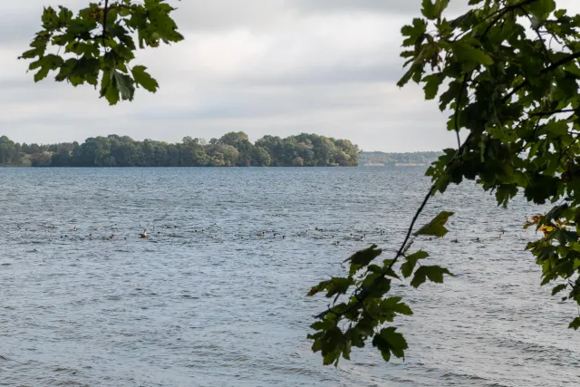 Inseln im Schweriner See