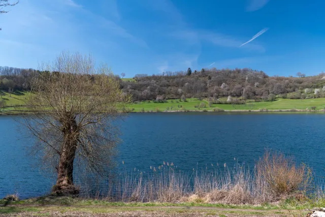 Am Schlakenmehrener Maar