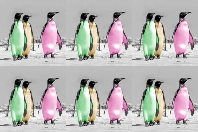 Warhol-Pinguine als non-fungible token (NFT)