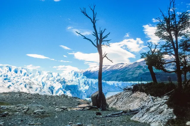  Der Perito-Moreno-Gletscher