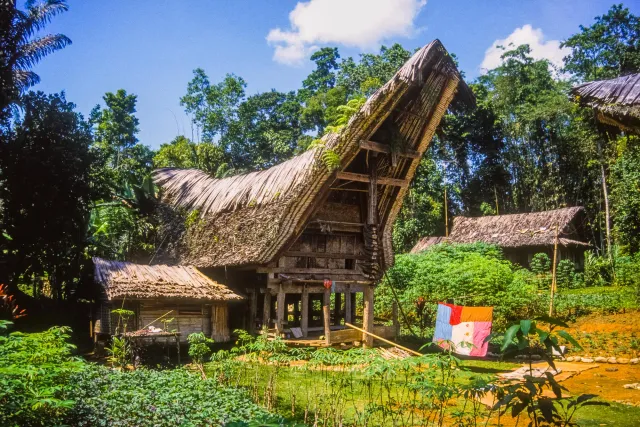 Tongkonan, die beeindruckenden Häuser der Toraja