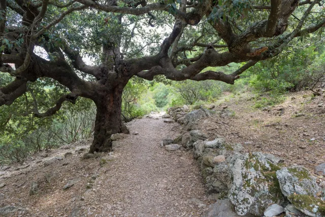 The way to Cala Goloritze "- the most beautiful beach in Sardinia in the municipality of Baunei