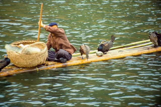 Cormorant fishermen on the Li River