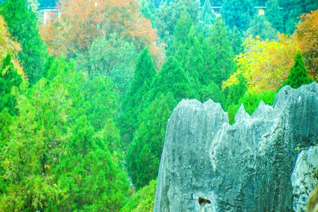 Fairytale stone forest