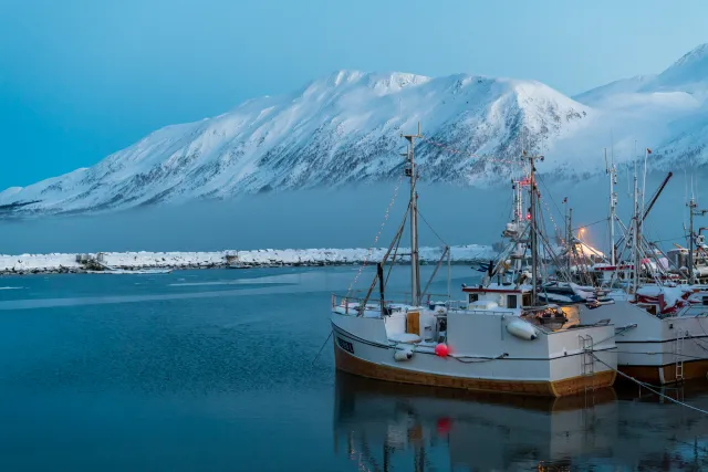 Am Hafen von Fjord Solenagen