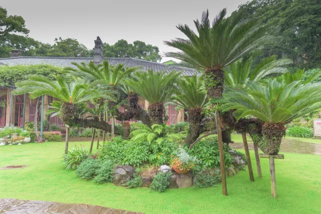 The former Ringer house in Nagasaki