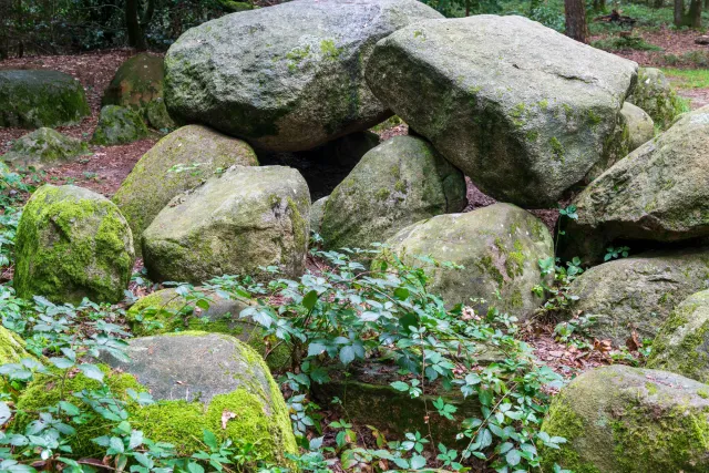 The megalithic tomb in the Kunkenvenne, also known as the Thuine megalithic tomb, Sprockhoff no. 874