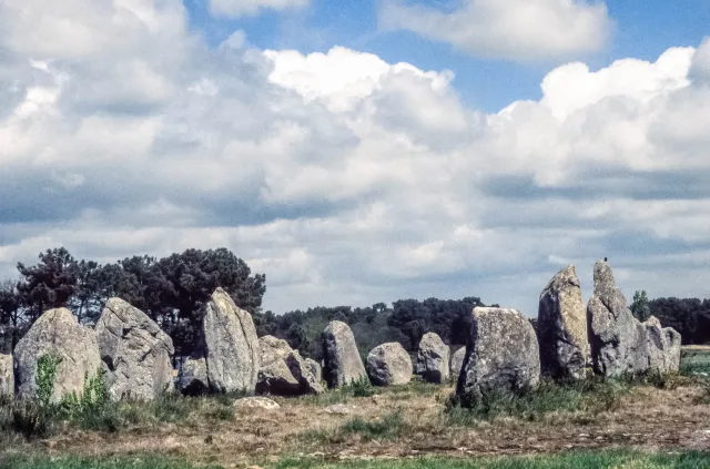 Stone rows of Carnac