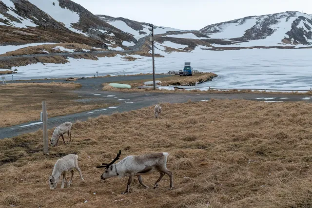 Arrive at base camp on the North Cape