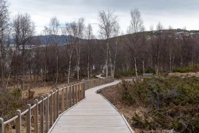 Very nice paths through the landscape of petroglyphs