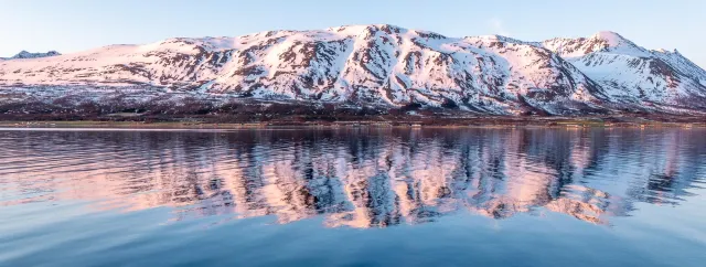 Die Lyngenalpen spiegeln sich im Licht der Mitternachtssonne in der Bucht Sør-Lenangen 