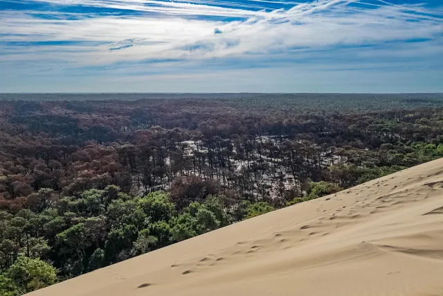 Verbrannte Bäume und zerstörte Campingplätze an der Dune du Pilat