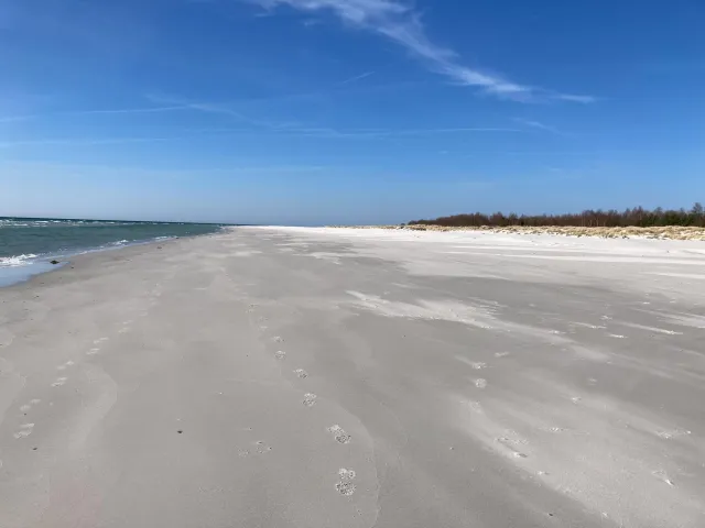 Laufen am Strand zwischen Dueodde und Snogebaek