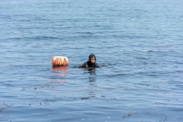 The sea women (Haenyo) from the South Korean island of Jeju.