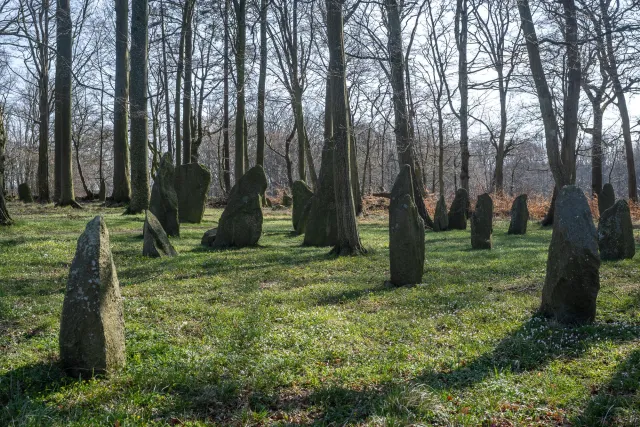 Menhirs or Bautasteine in Louisenlund