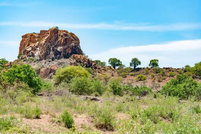 NFT 039: Das vergessene Königreich Mapungubwe in Limpopo