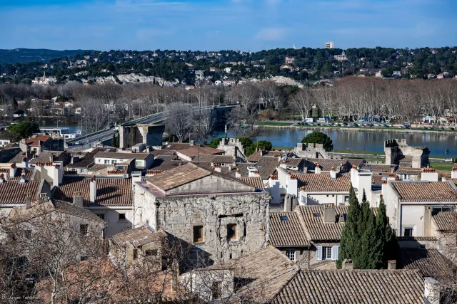 Views from the roof vault of the Papal Palace