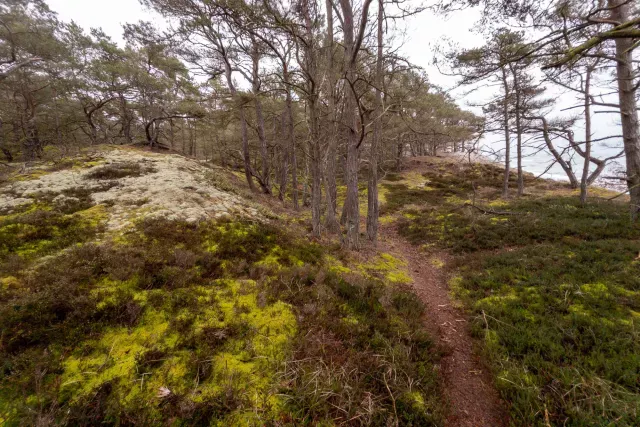 Trail von Bakkerne Havn nach Snogebæk